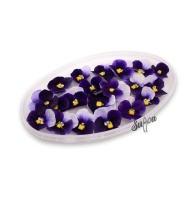 Обезвоженные цветы Виола Волшебный синий Мини, 35шт - купить в магазине КондитерХауз Обезвоженные цветы Виола Волшебный синий Мини, 35шт