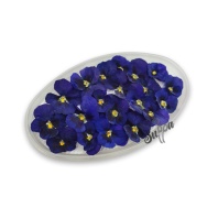 Обезвоженные цветы Виола Полярная звезда Мини, 35шт - купить в магазине КондитерХауз Обезвоженные цветы Виола Полярная звезда Мини, 35шт