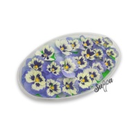 Обезвоженные цветы Виола Ледяная сказка, 20шт