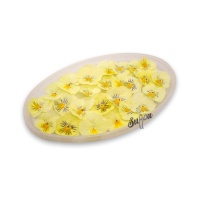 Обезвоженные цветы Виола Солнечный луч Мини, 35шт