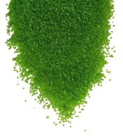 Посыпка сахар декоративный Зеленый Форно Боно, 50гр - купить в магазине КондитерХауз Посыпка сахар декоративный Зеленый Форно Боно, 50гр