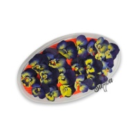 Обезвоженные цветы Виола Золотой сапфир, 20шт - купить в магазине КондитерХауз Обезвоженные цветы Виола Золотой сапфир, 20шт